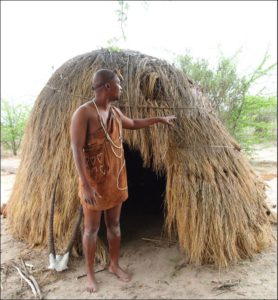 Eine traditionelle Hütte im Halahari Plains Camp