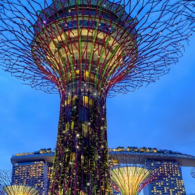 Supertrees und Marina Bay Sands, Singapur, Photo by Duy Nguyen on Unsplash