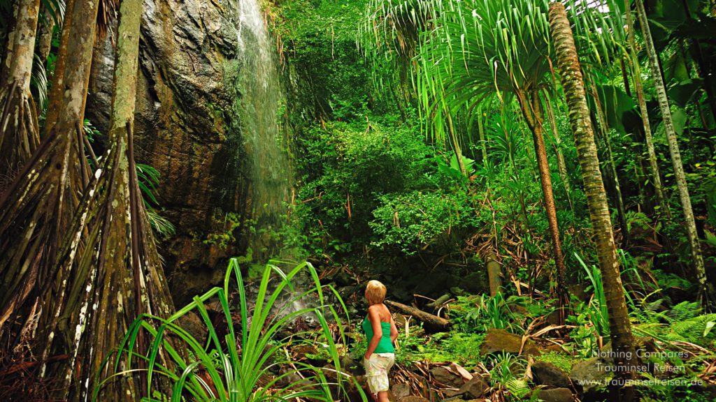 Vallee de Mai Wasserfall Trauminsel Reisen Wallpaper 1920x1080