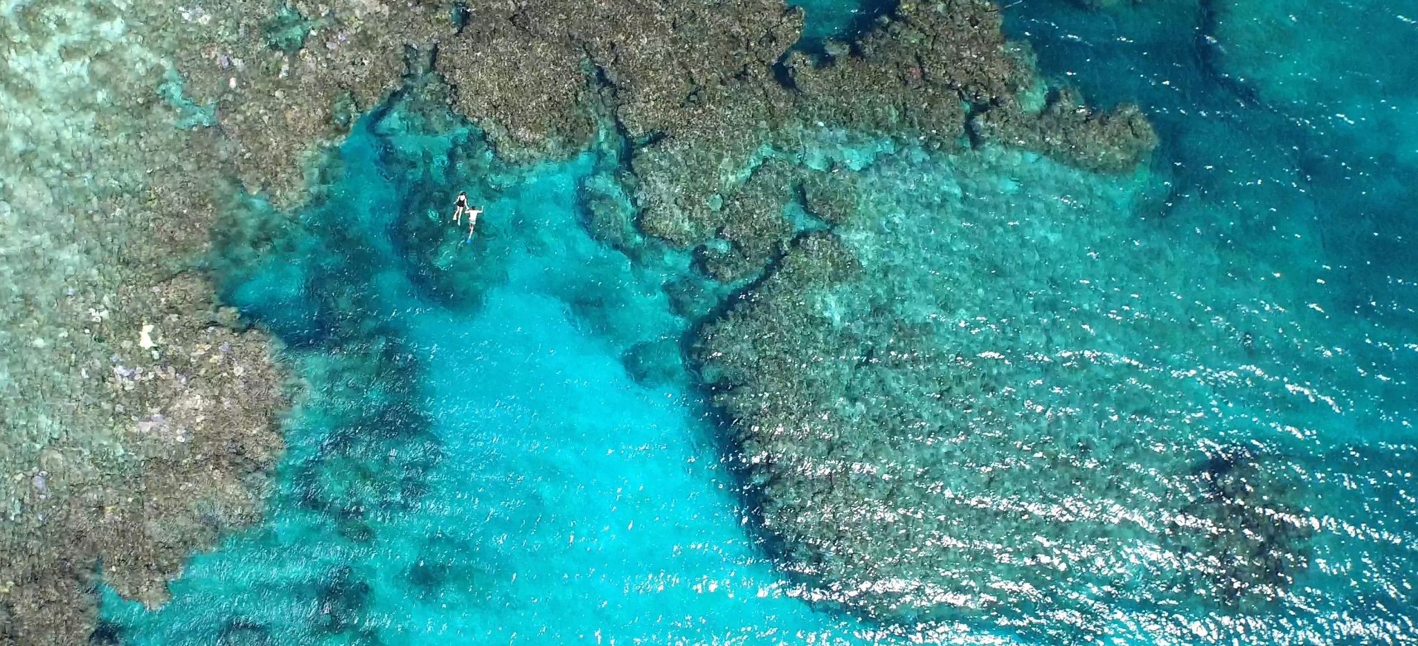 Luftaufnahme Schnorchler im türkisen Meer, Fiji