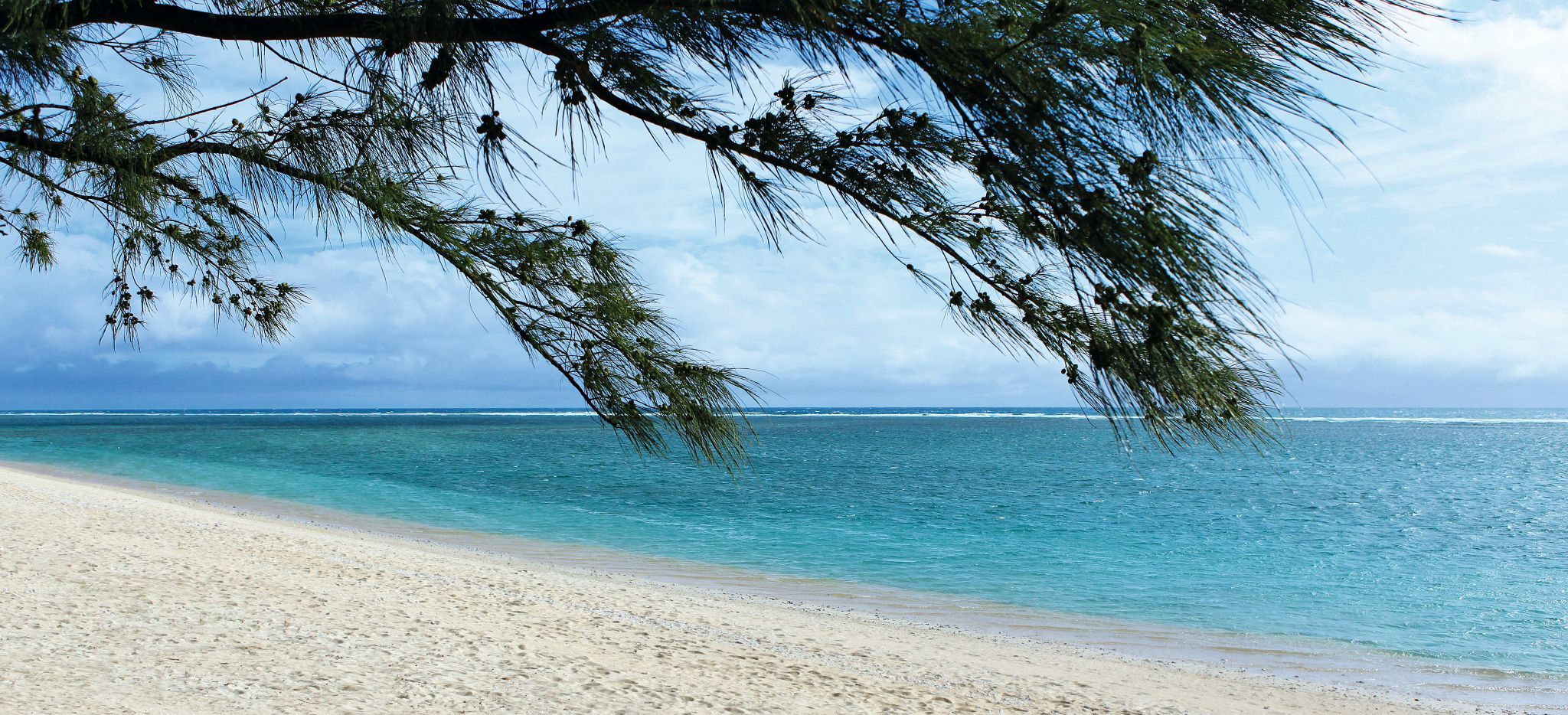 Ein Strand mit Laubbaum auf der Insel La Réunion