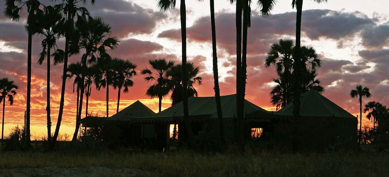 Sonnenuntergang hinter Palmen und Gebäuden des "Jack's Camp" in Botswana