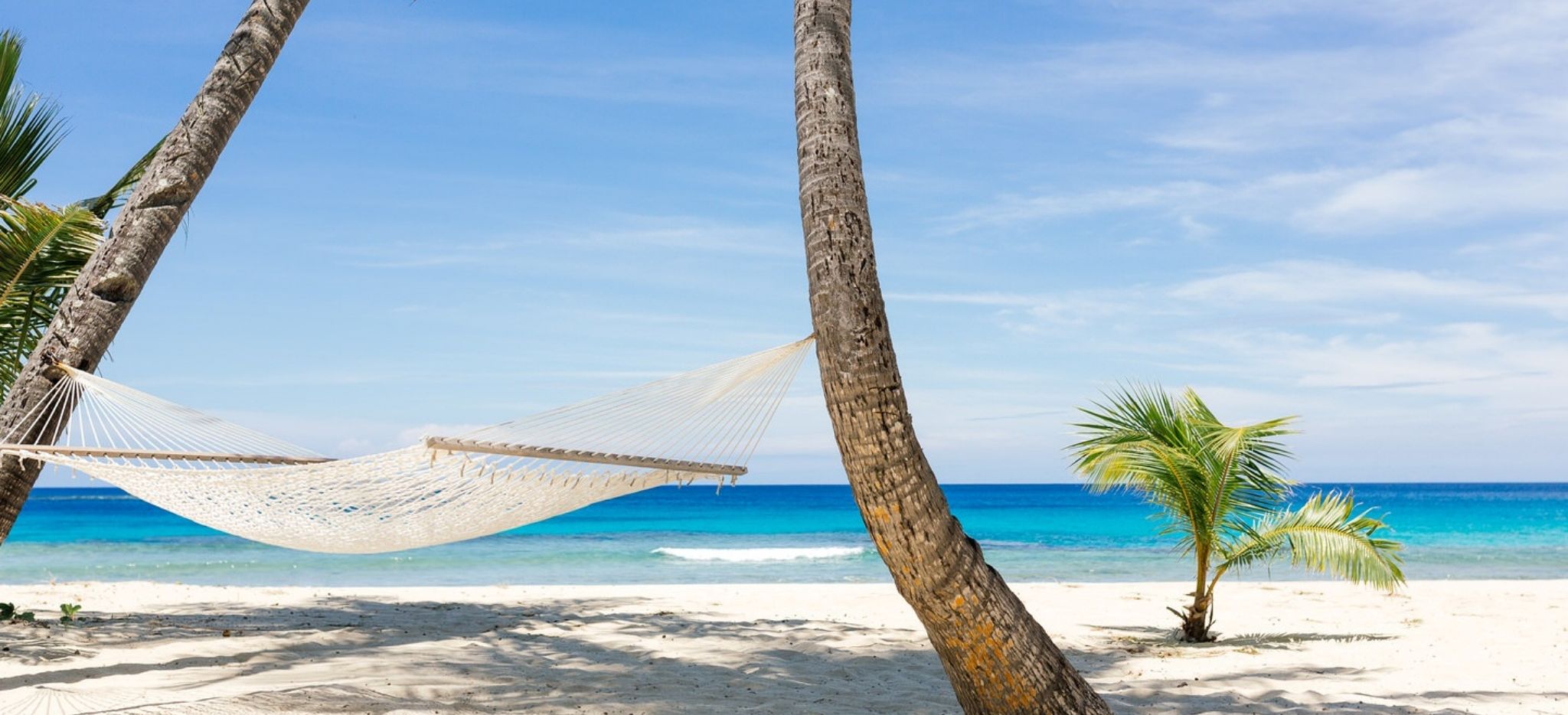 Hängematte zwischen Palmen am Strand des Yasawa, Fiji