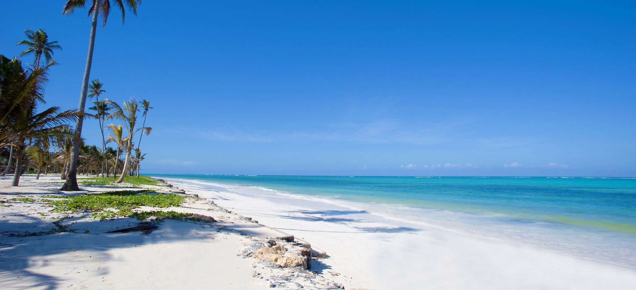 Ein schneeweißer Sandstrand mit vereinzelten Palmen