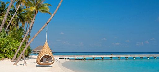 Hängestuhl an einer Palme am Strand des Hotel Velaa Private Island