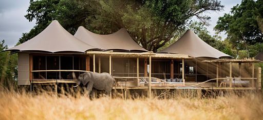 Ein Elefant direkt vor einem der Hotelzimmer derSafari-Lodge "Little Mombo" in Botsuana
