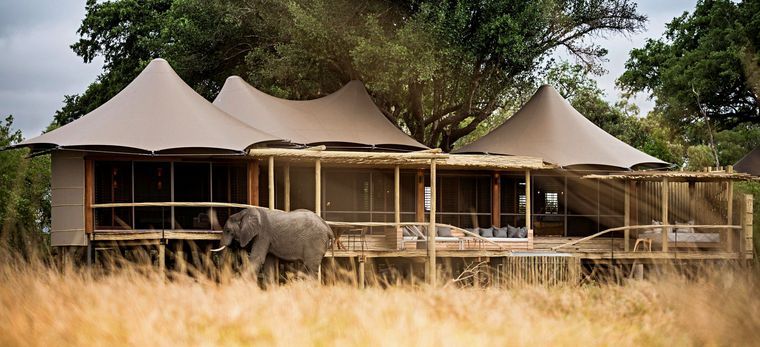 Ein Elefant direkt vor einem der Hotelzimmer derSafari-Lodge "Little Mombo" in Botsuana