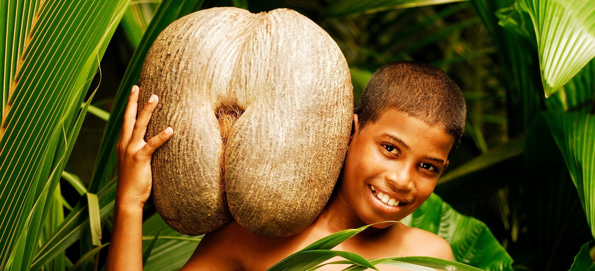 Ein Junge steht mit einer "Coco de Mer", dem Wahrzeichen der Seychellen, im Dschungel