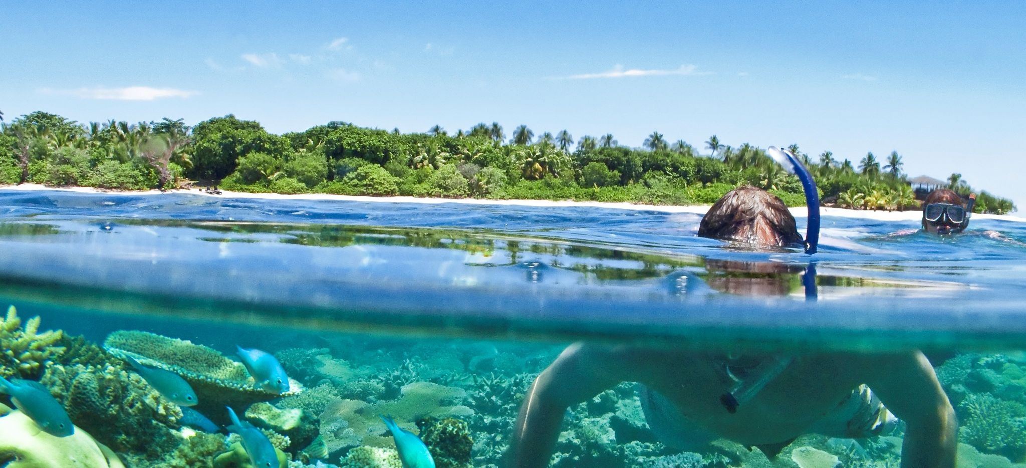 Paar schnorchelt am Riff vor dem Hotel Vomo Island Fiji