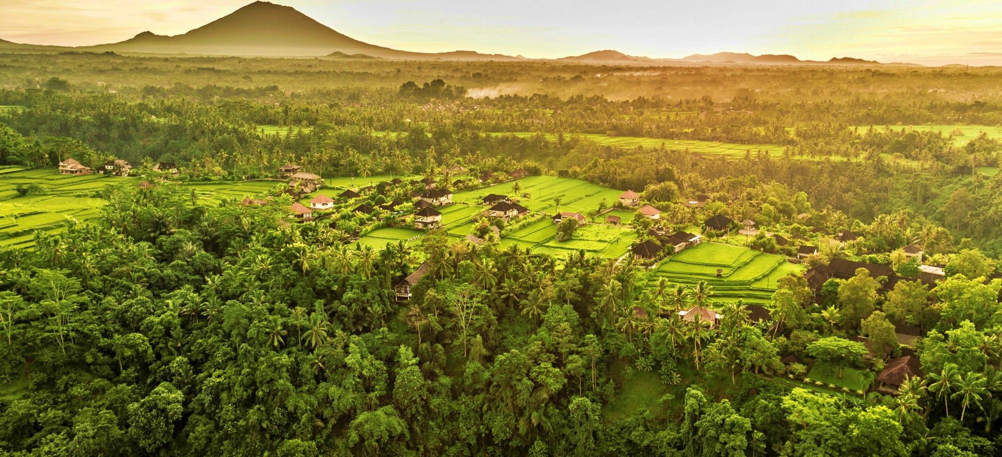 Reisfelder, Dschungel und ein Berg in der ferne, Luftaufnahme der Insel Bali über dem Hotel "COMO Uma Ubud"