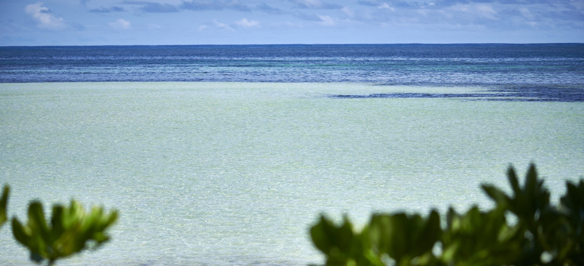 Der Blick auf die Anse la Mouche auf den Seychellen bei Ebbe, vom Hotel Canopy by Hilton Seychelles aus