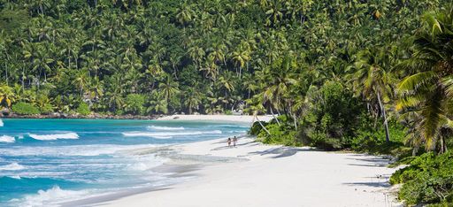 Ein weitläufiger Strand direkt zwischen Meer und üppigem Dschungel, Seychellen