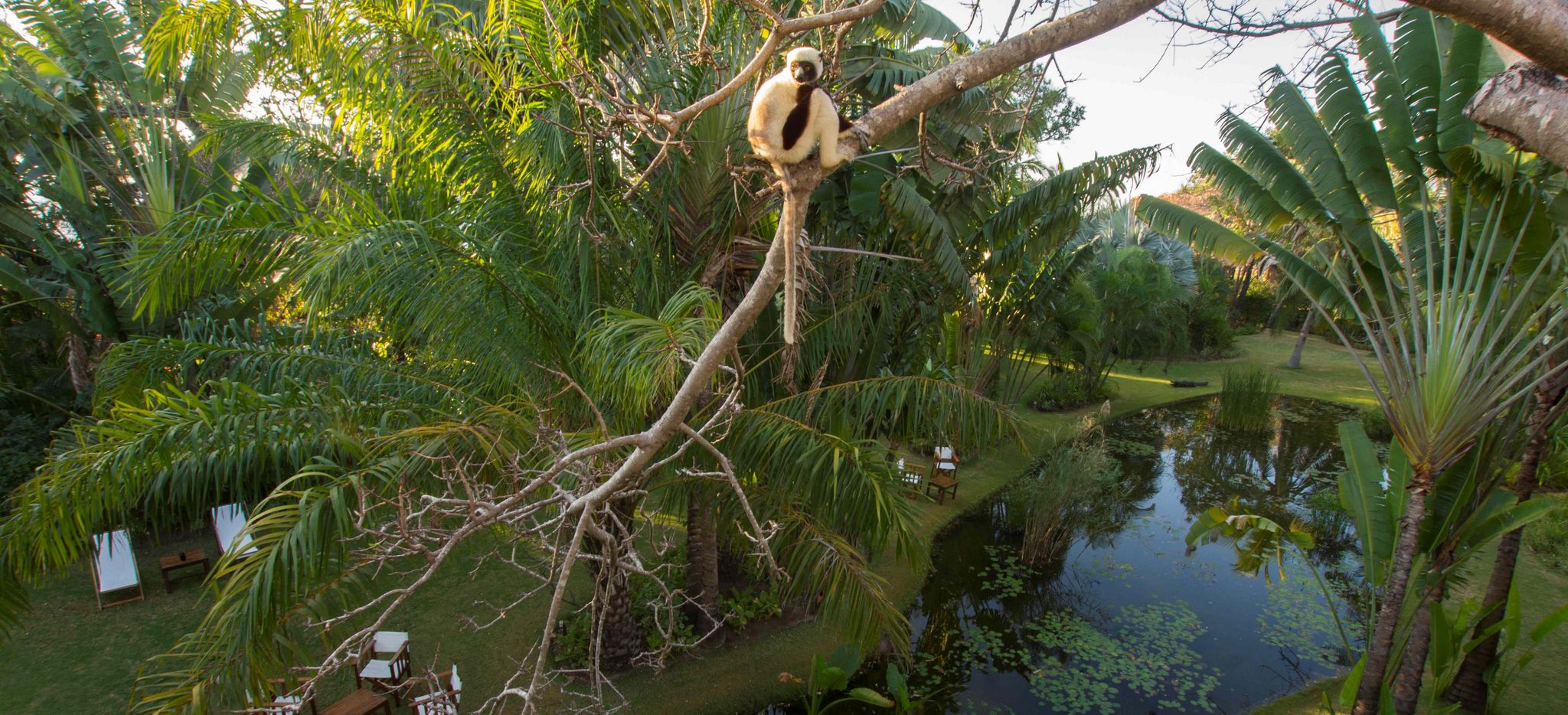 Restaurant L' Oasis des Hotels Anjajavy Le Lodge