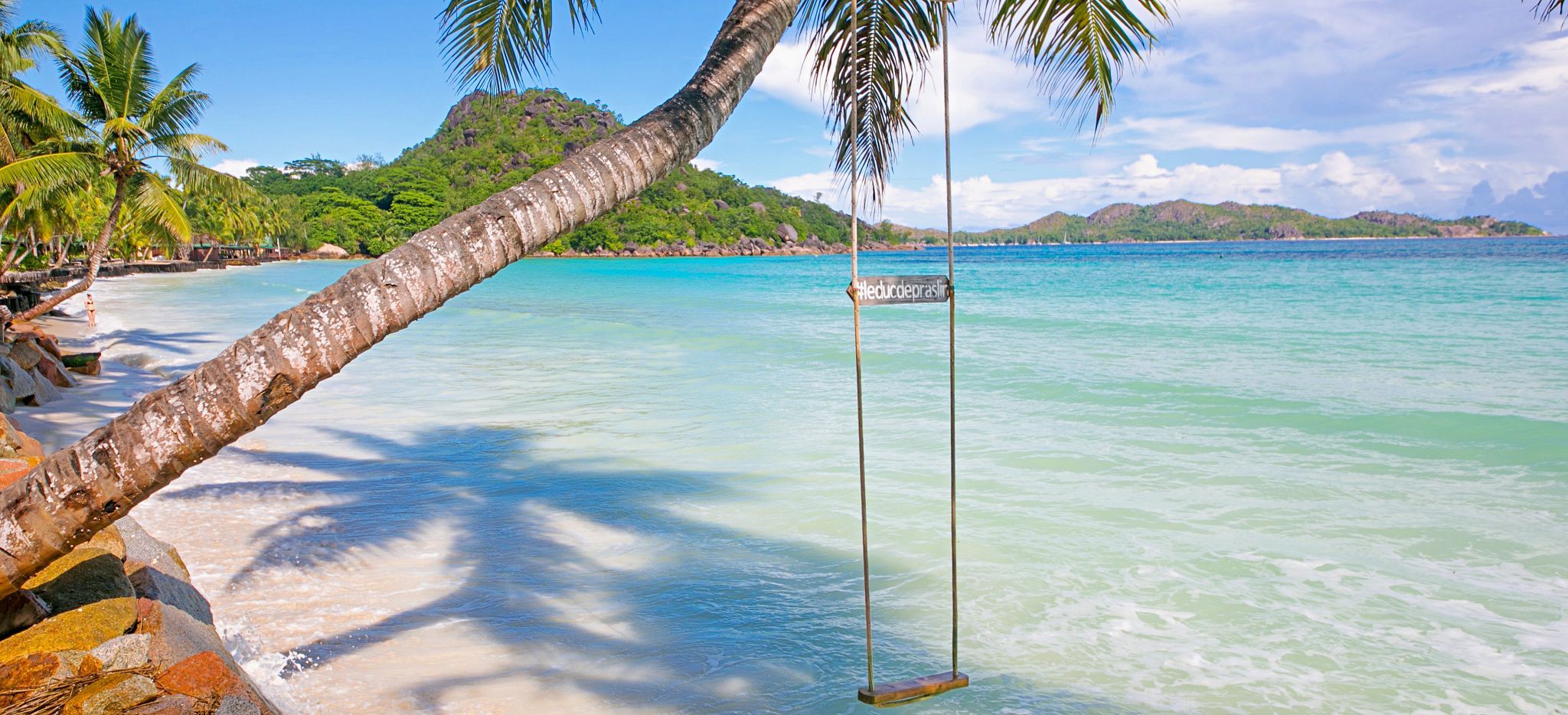 Strand mit Schaukel an Palme