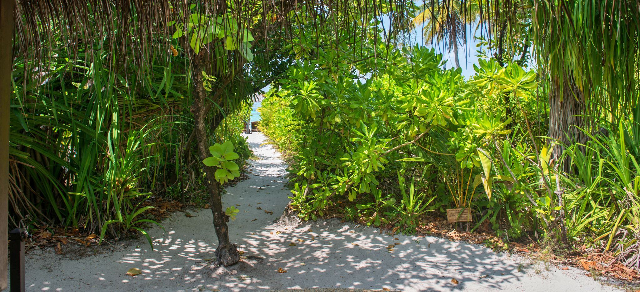 Garten vor einer Beach Villa