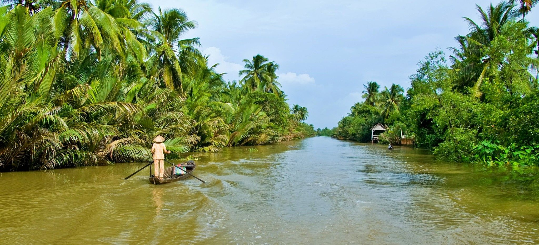 Ein boot fährt auf einem Fluß umringt von Palmen in Vietnam