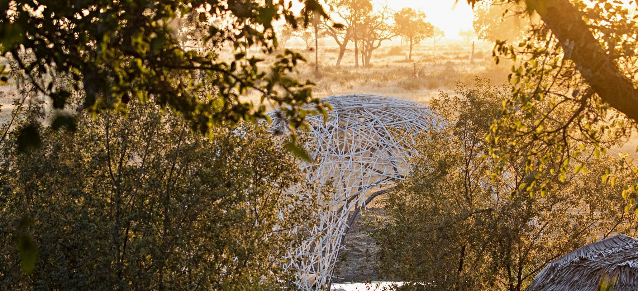 Blick über den Hauptbereich in das Okavango Becken, Jao Camp, Botsuana