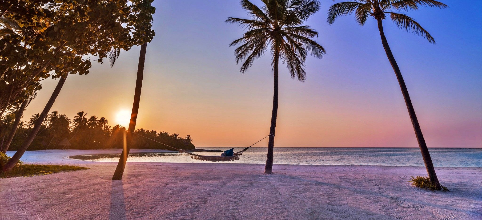 Eine Hängematte zwischen zwei Palmen an einem Strand im Abendlicht