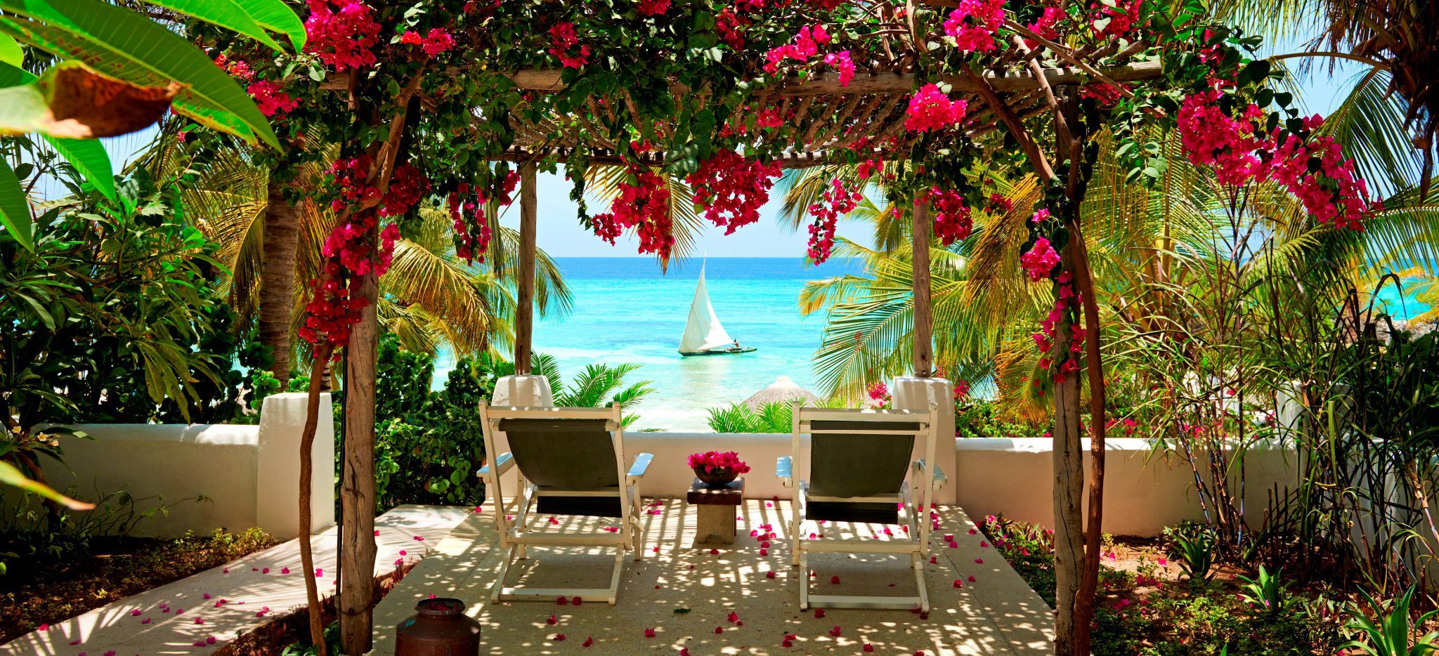 Zwei Stühle mit Blick auf das Meer, mit einem Baldachin aus Bougainvillea