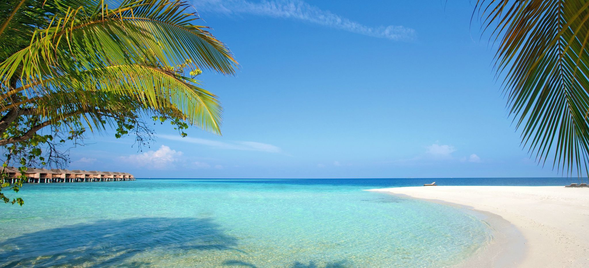 Ein Strand unter Palmen und Laubbäumen, im Hintergrund die Wasservillen des Hotels Constance Moofushi auf den Malediven