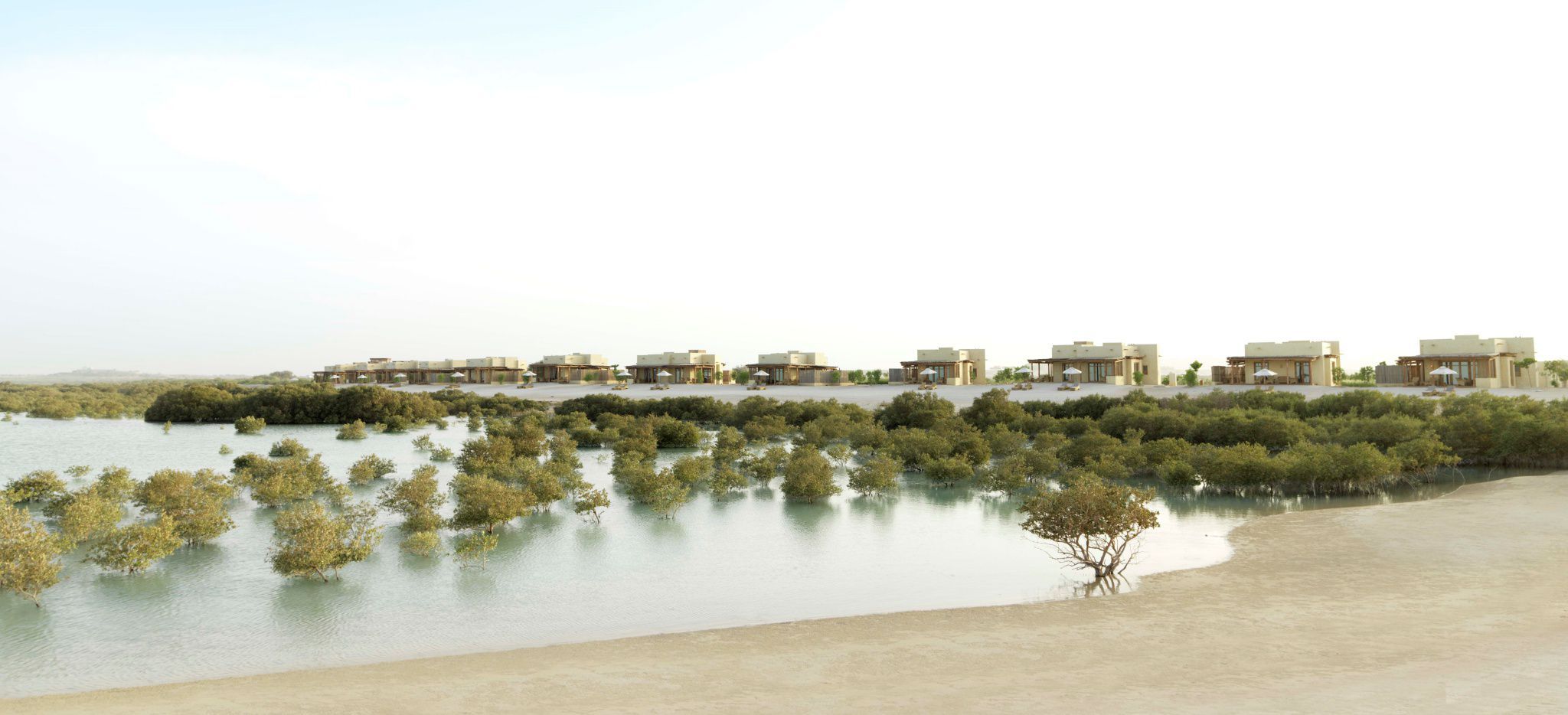 Mangrovenwald in einer Lagune vor dem Hotel Anantara Al Yamm