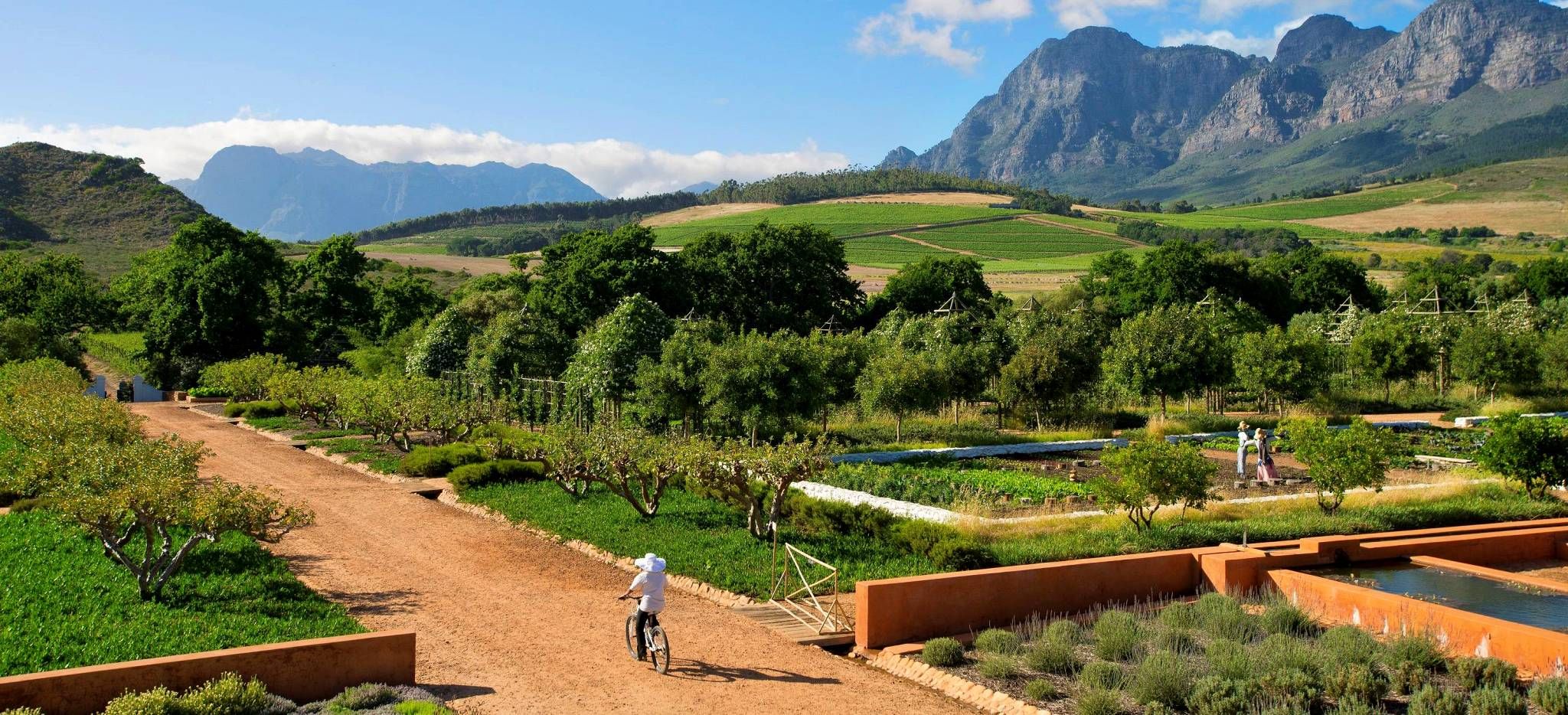 Tourist auf Fahrrad radelt durch eine typische Farm in Südafrika