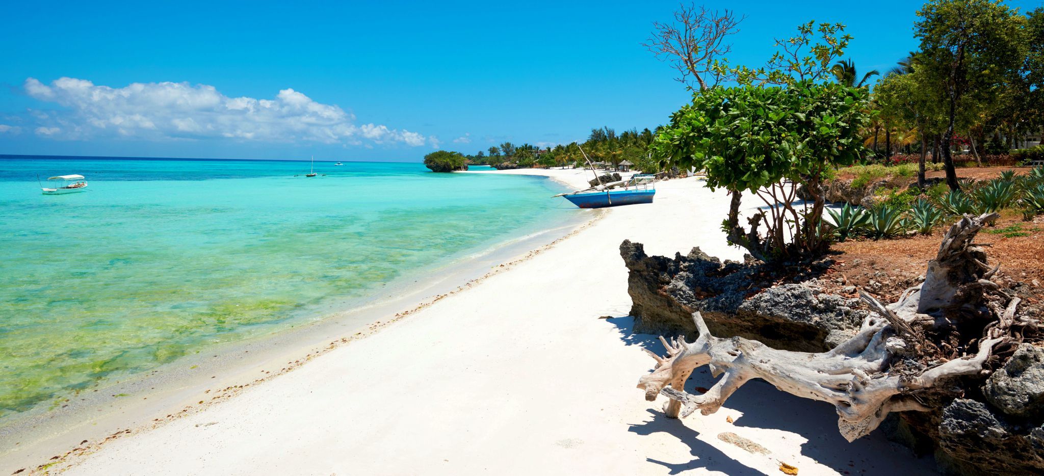 Der Strand bei the Aiyana auf Pemba, etwas Treibholz, schön drapiert