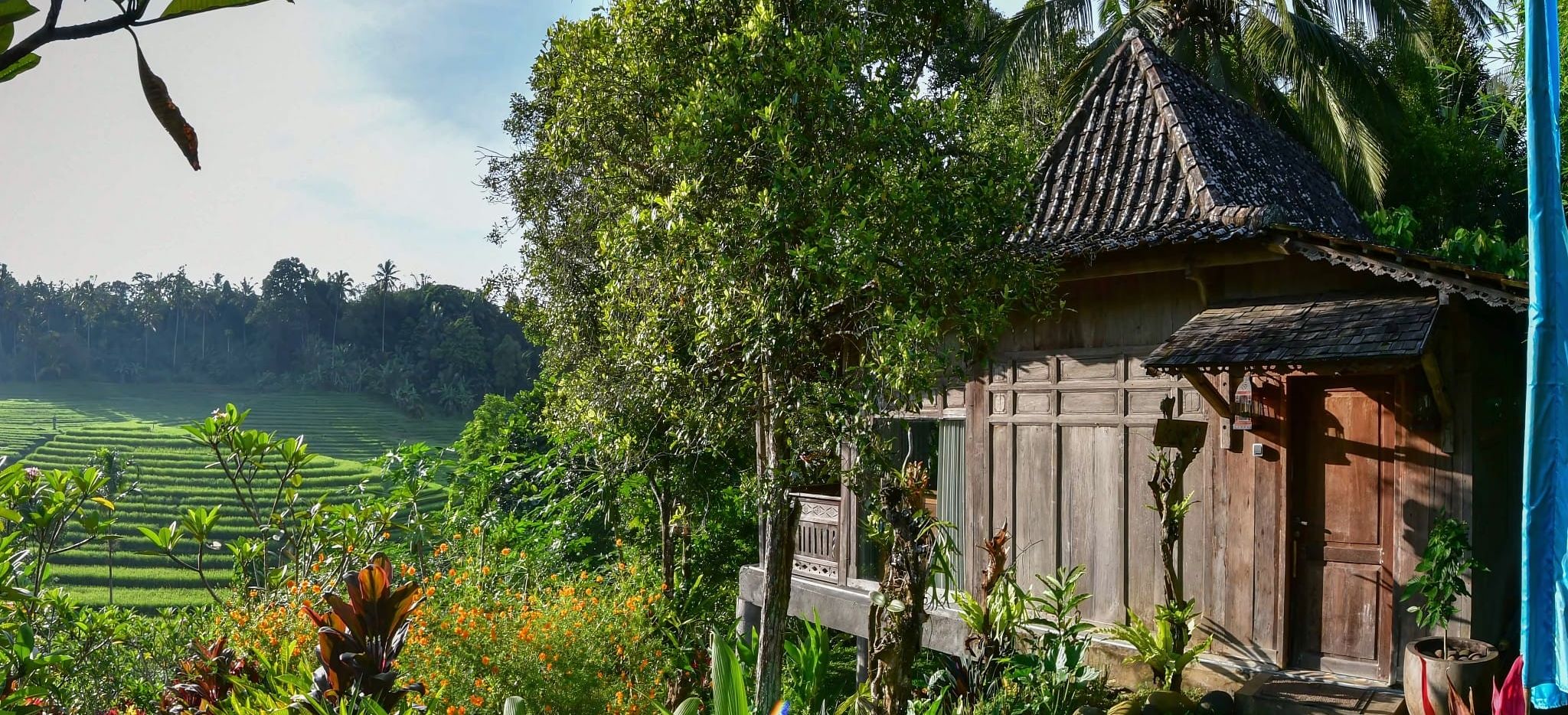 Ausblick über Reisfelder eines der Hotelzimmer des Bali Lush